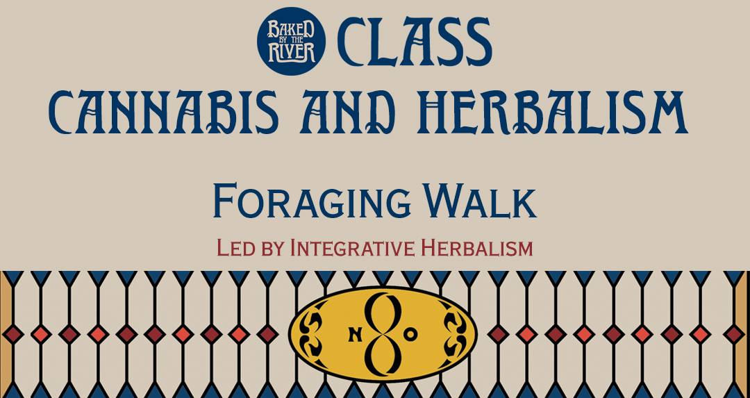 Event title in image: Cannabis and Herbalism, Foraging Walk.